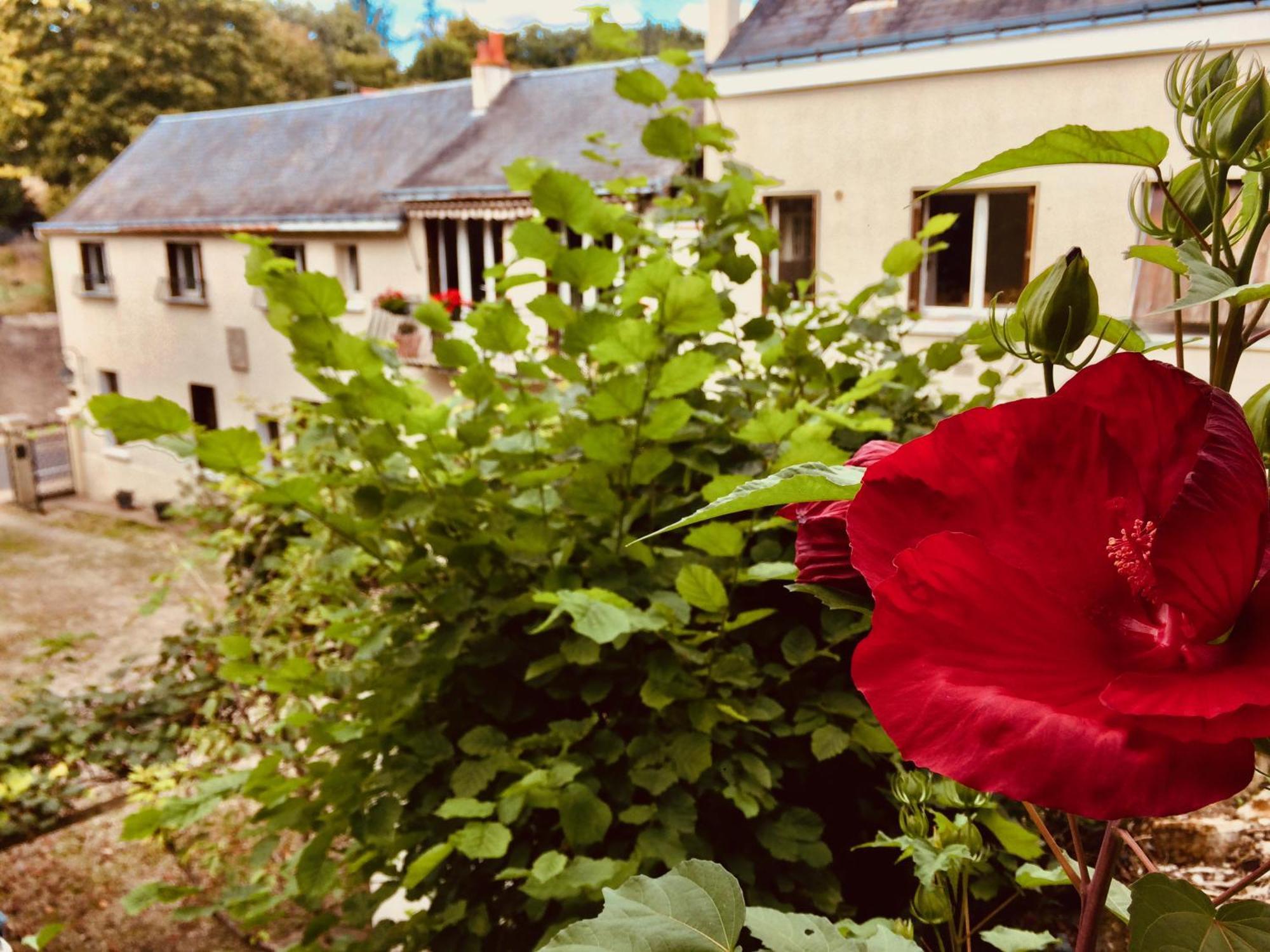 Le Clos Rabelais Langeais Luaran gambar