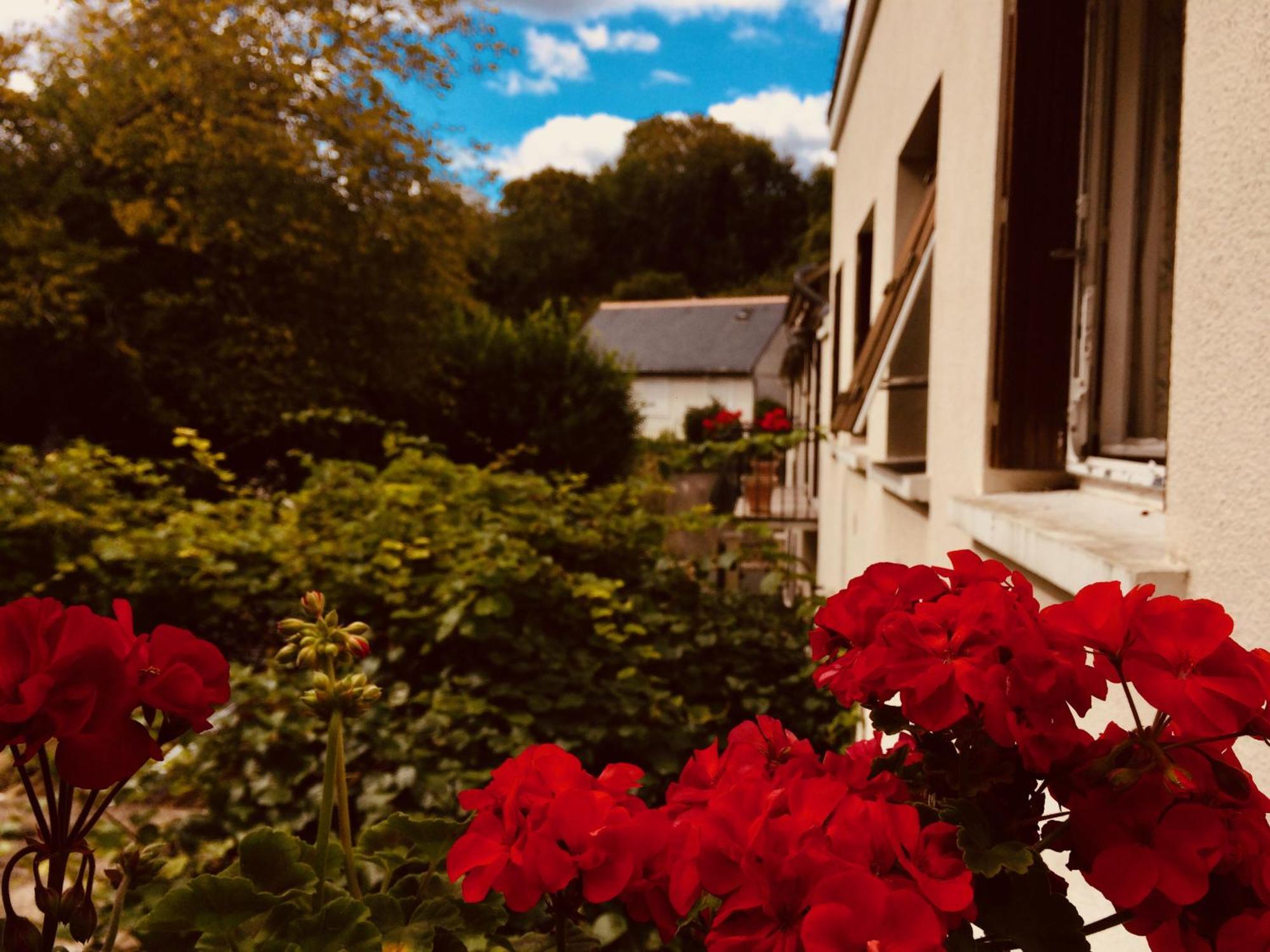 Le Clos Rabelais Langeais Luaran gambar